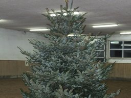 2012 Juletræspyntning